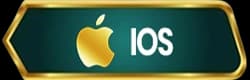 iOS